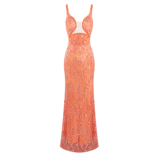 Floral Sequin Mesh Maxi Dress Orange HV2132