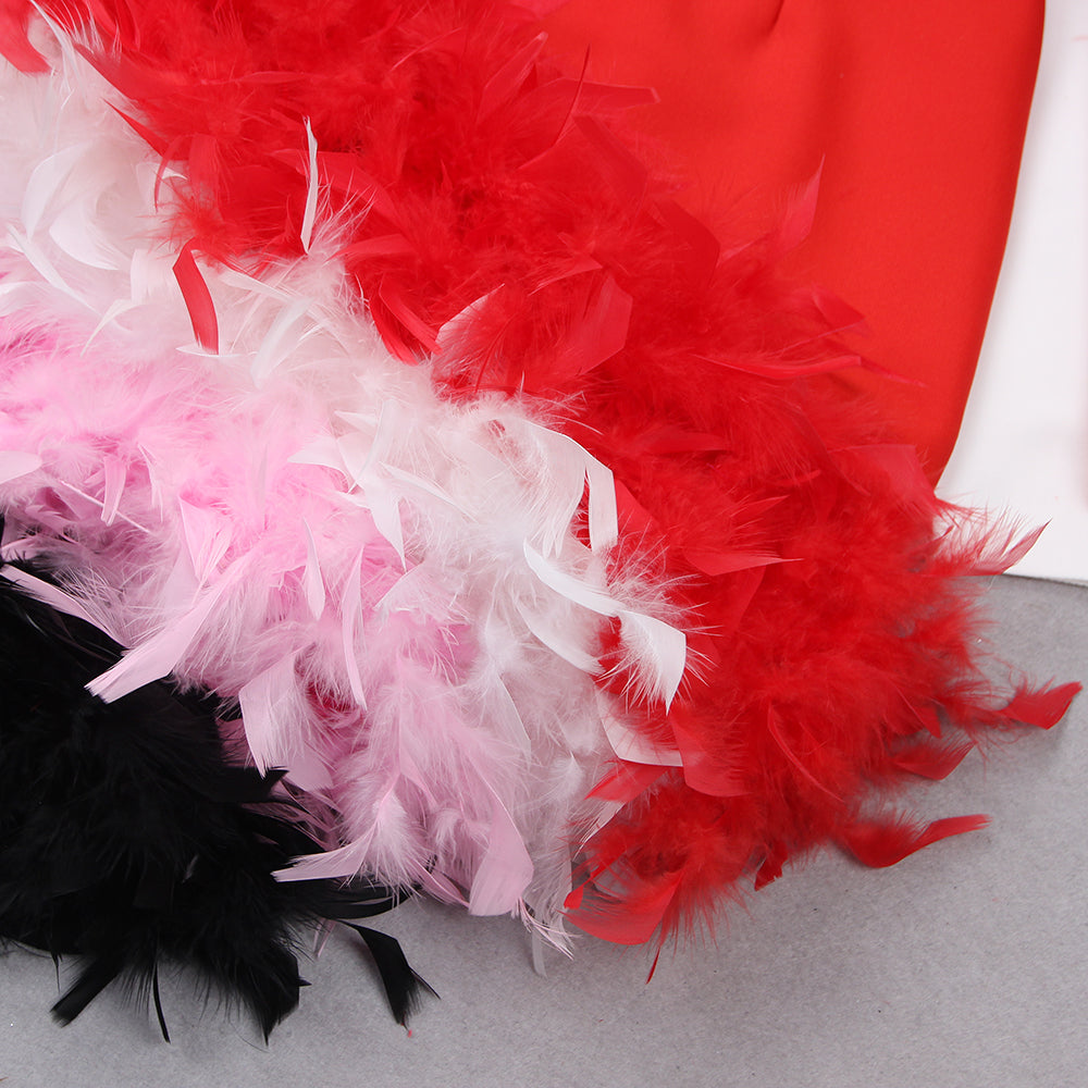 Long Sleeve Rhinestone Feather Dress HV9215
