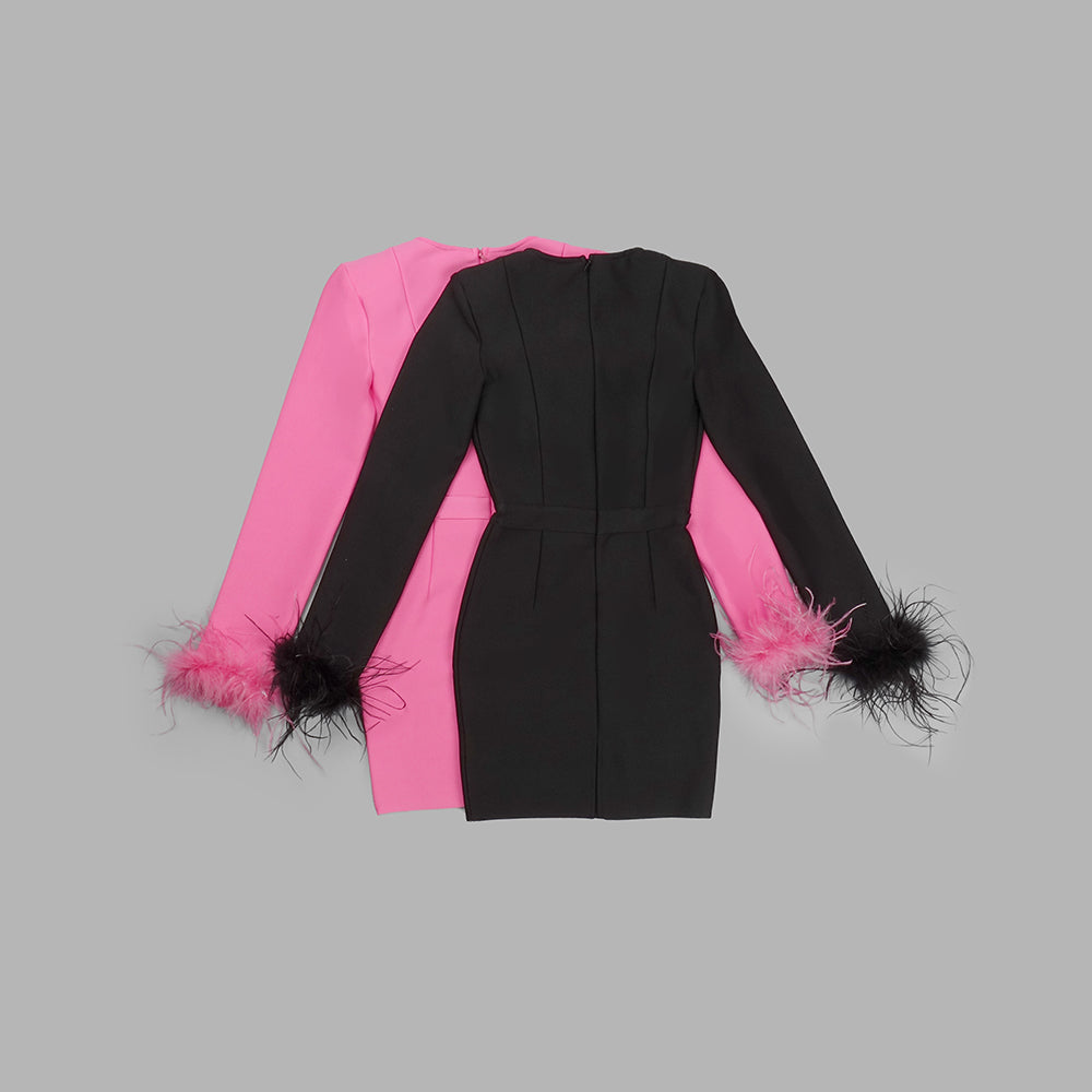Feather Long Sleeve Bustier Dress HV9157