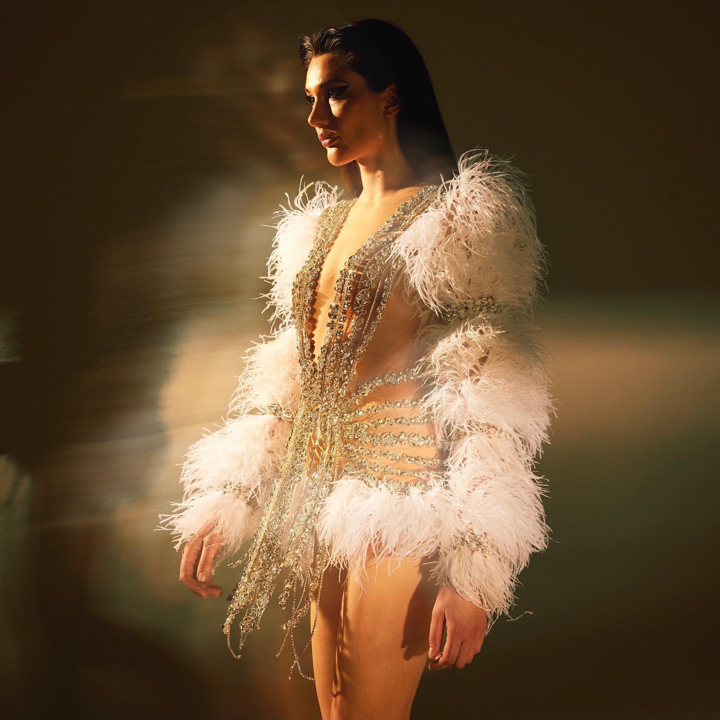 Feather Long Sleeve Crystal Dress Nude HV1694