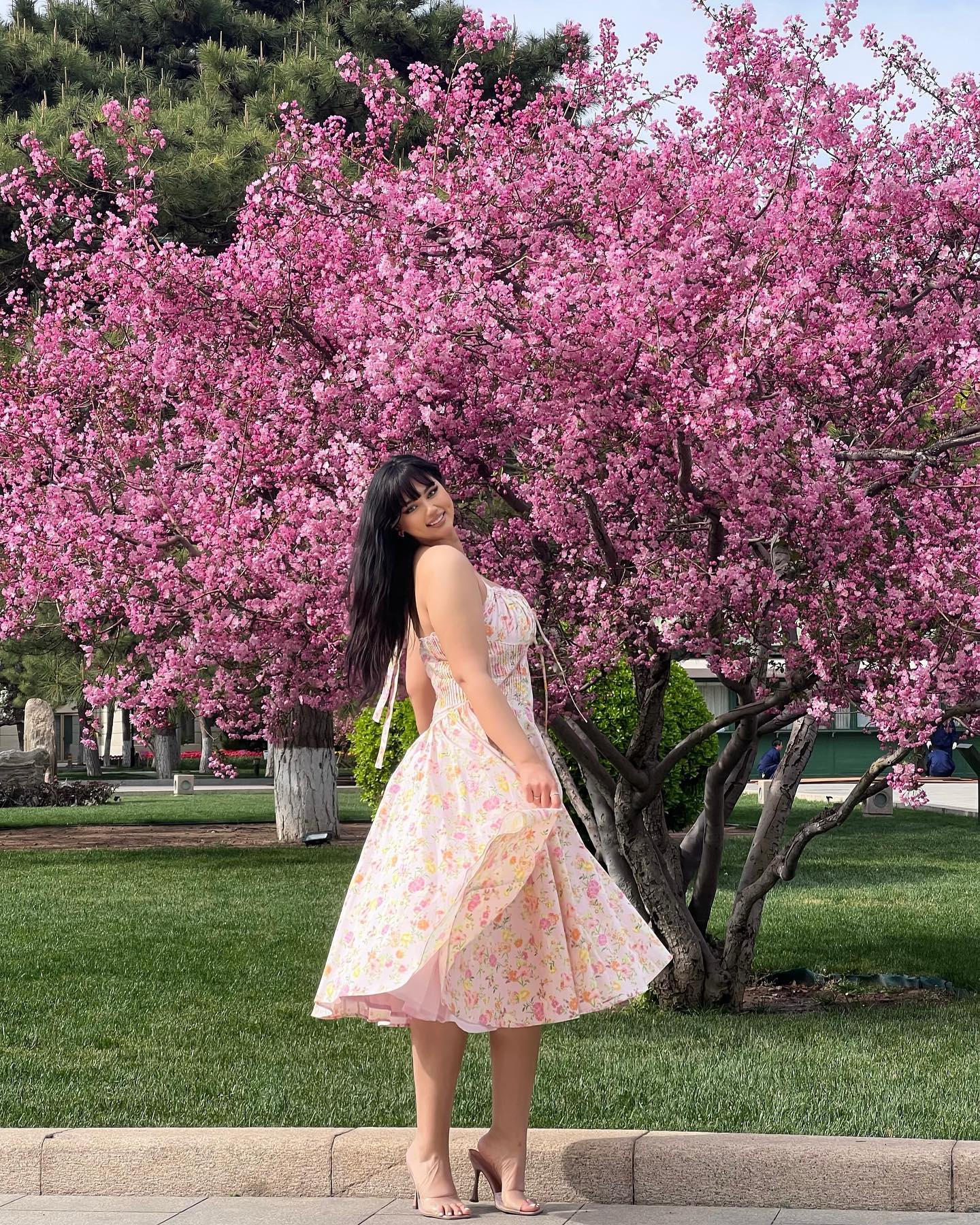 Halter Lace Bustier A Line Midi Dress Floral Pink HV1289