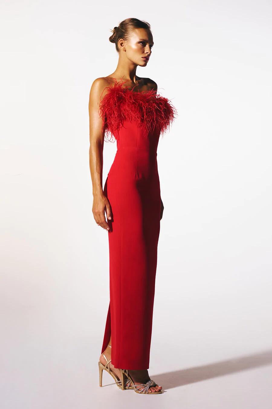 Feather Detail Strapless Maxi Dress HV8791