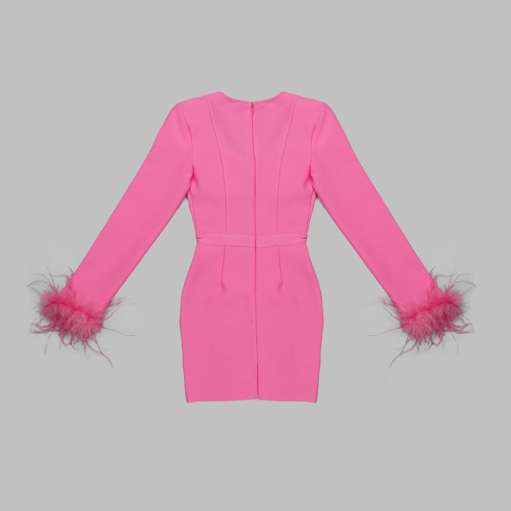 Feather Long Sleeve Bustier Dress HV9157