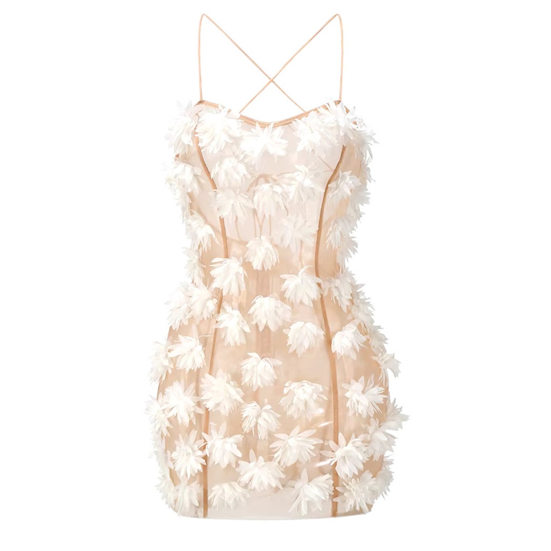 Floral Detail Mesh Dress HV1921