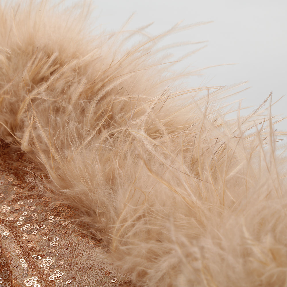 Long Sleeve Bustier Feather Sequin Dress HV8913