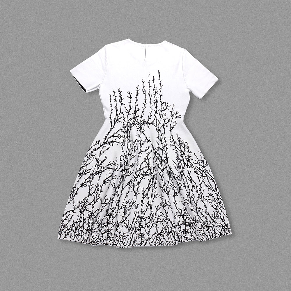 Short Sleeve A Line Dress White HV1576