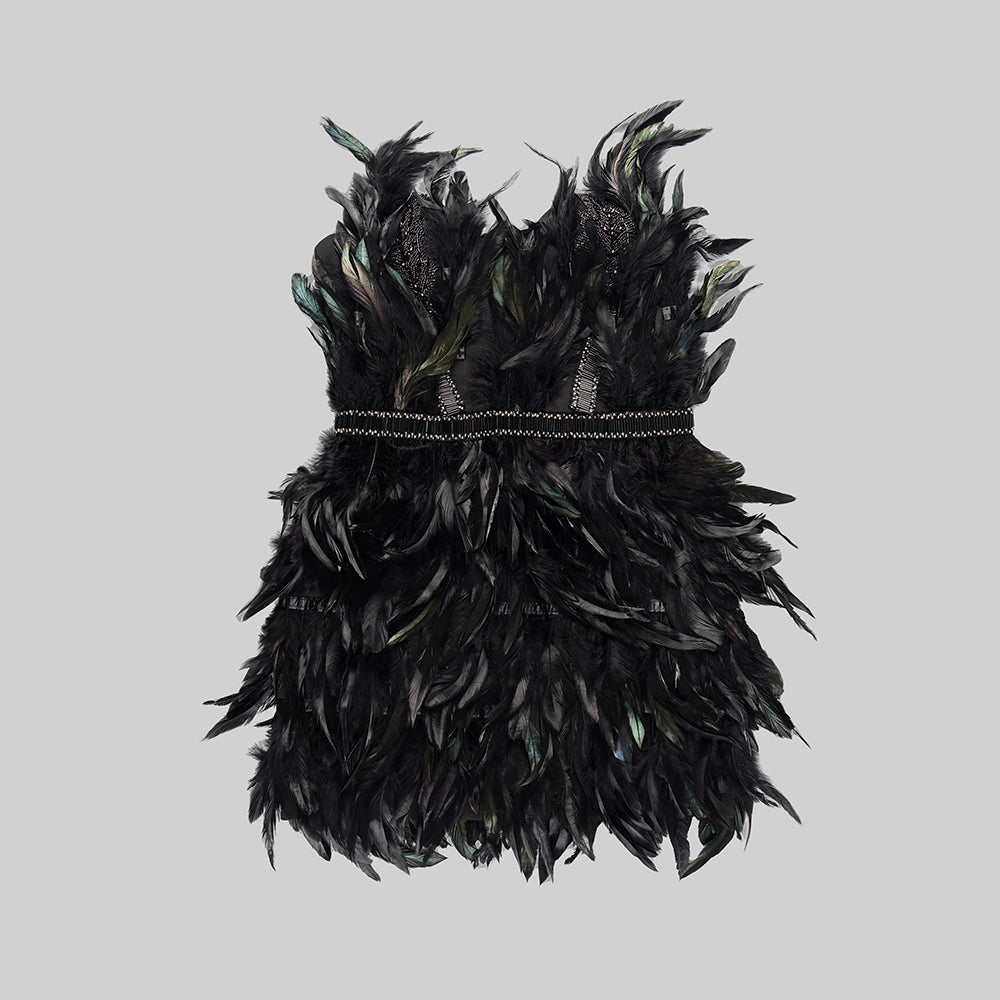 Strapless Feather Embellished Dress Black HV9594