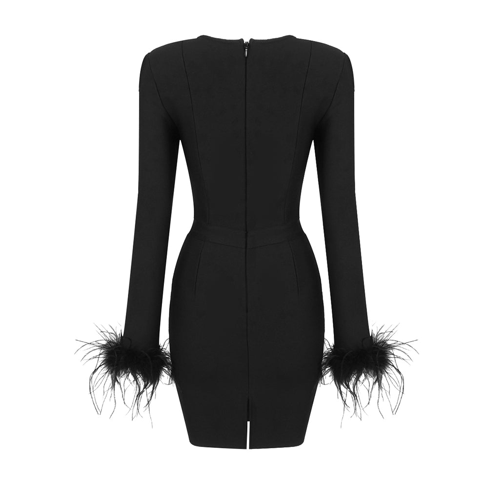 Feather Long Sleeve Bustier Dress HV9157