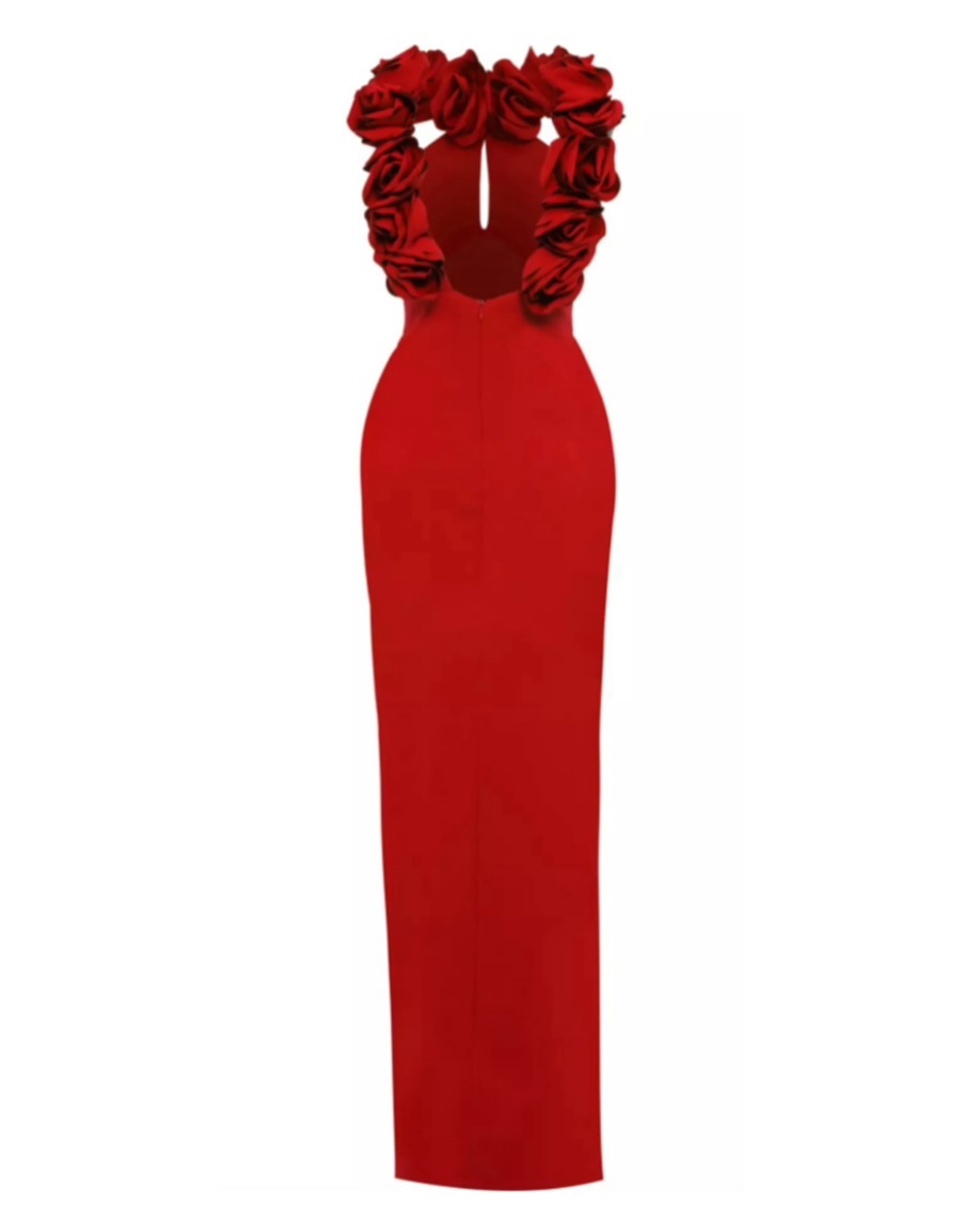 Halter Floral Backless Maxi Dress Red HV1733