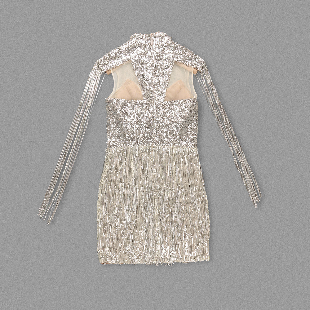 Crystal Sequin Tassel Dress Rose Silver HV1402