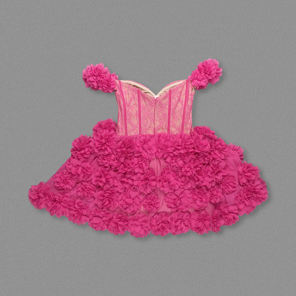 Bardot Lace Corset Floral A Line Dress Hot Pink HV1265