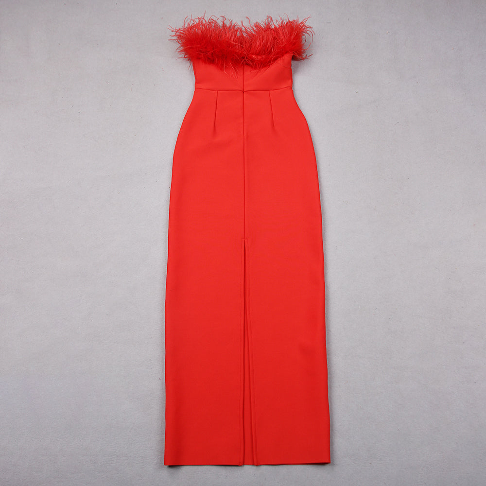 Feather Detail Strapless Maxi Dress HV8791