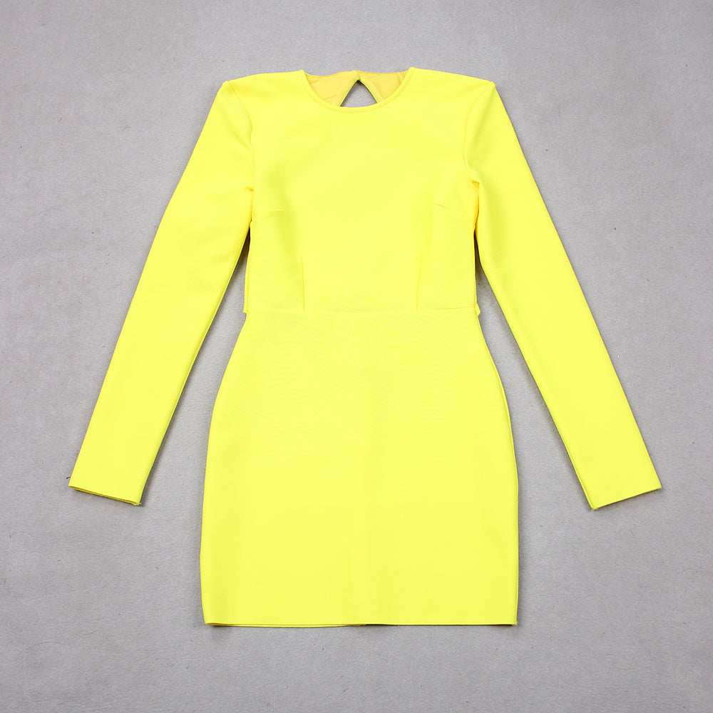Long Sleeve Backless Dress