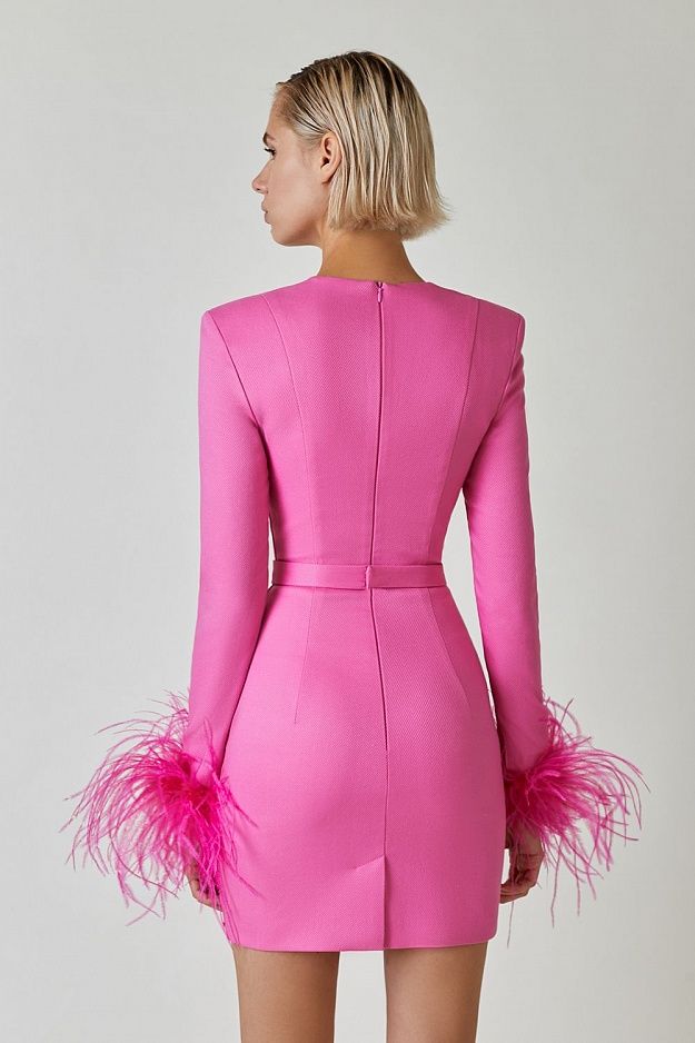 Feather Long Sleeve Bustier Dress HV9157