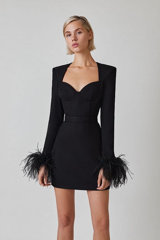 Feather Long Sleeve Bustier Dress HV9157