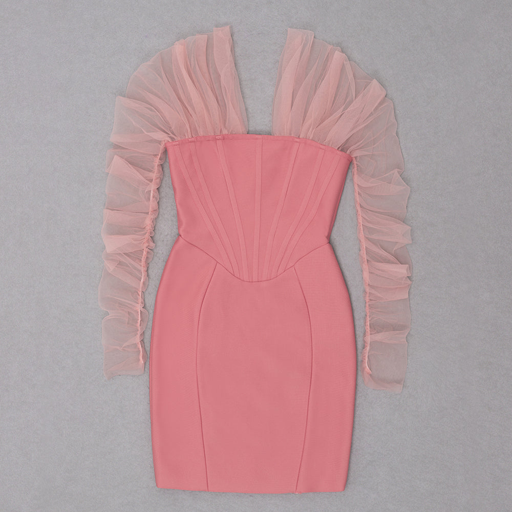 Draped Mesh Long Sleeve Structured Dress HV8650