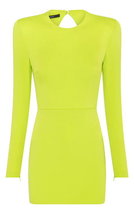 Long Sleeve Backless Dress