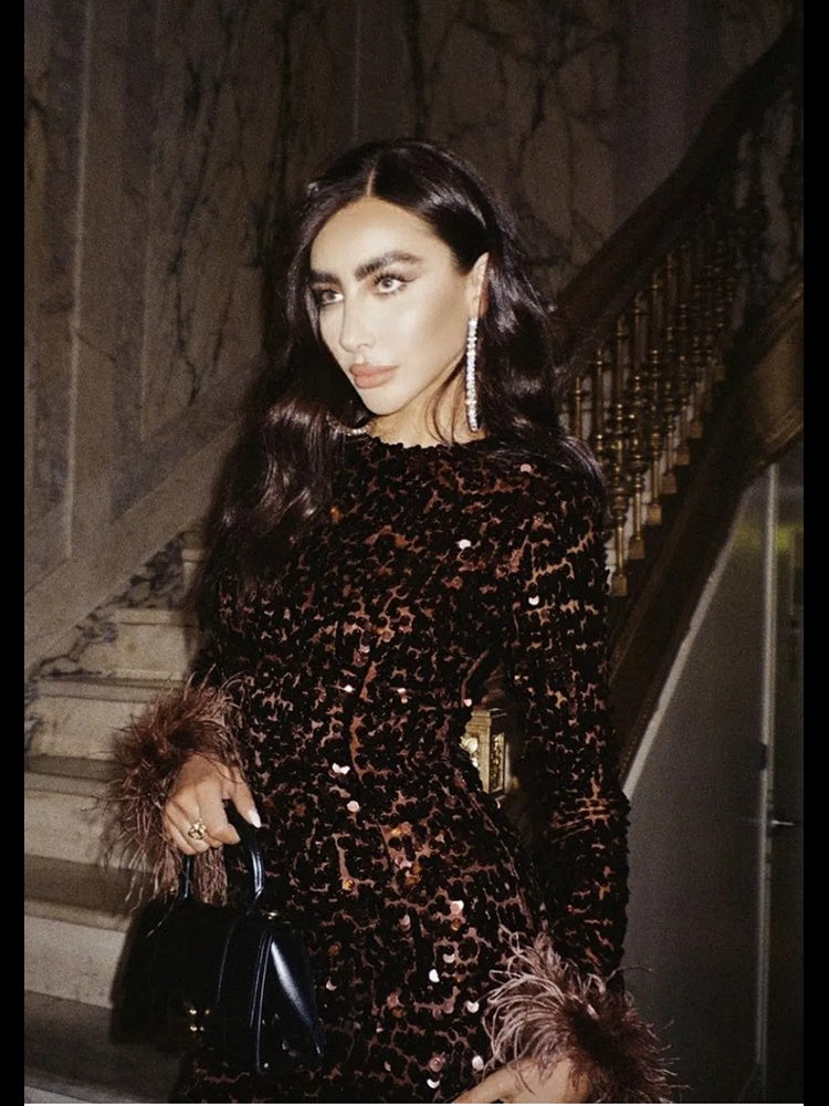 Long Sleeve Feather Sequin Midi Dress HV8915