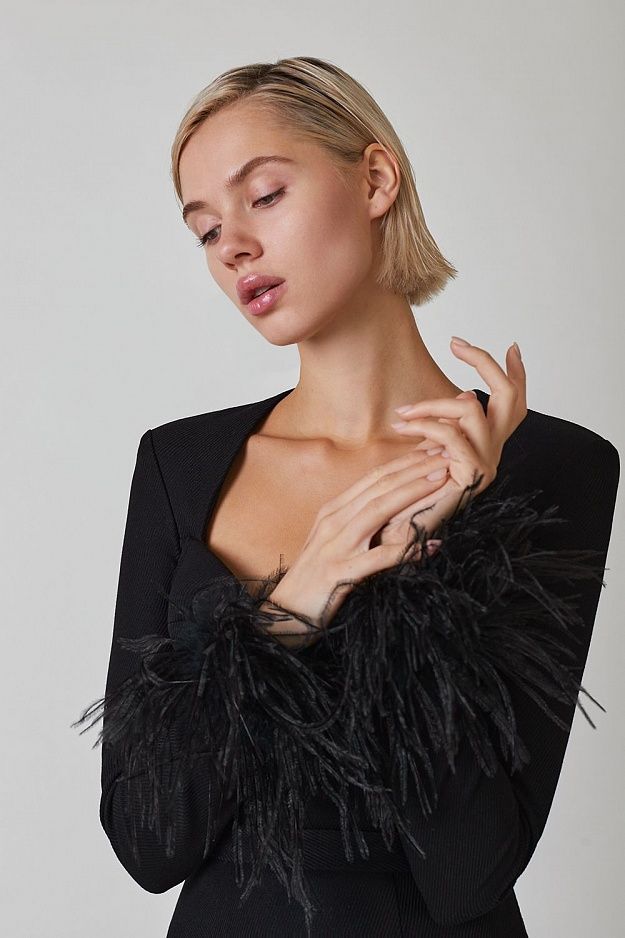 Feather Long Sleeve Bustier Dress HV9157