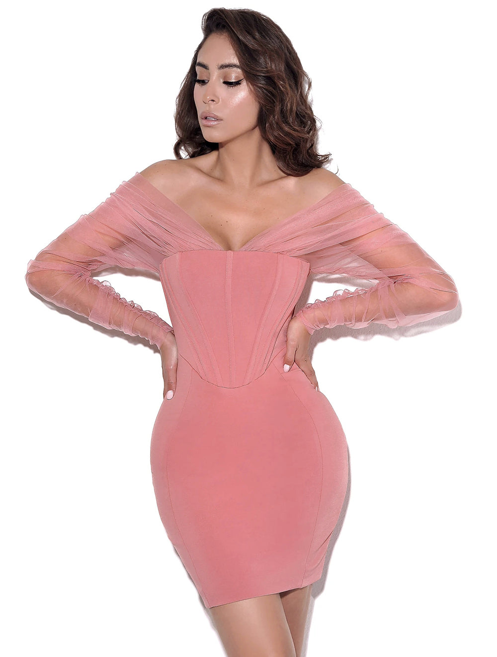 Draped Mesh Long Sleeve Structured Dress HV8650