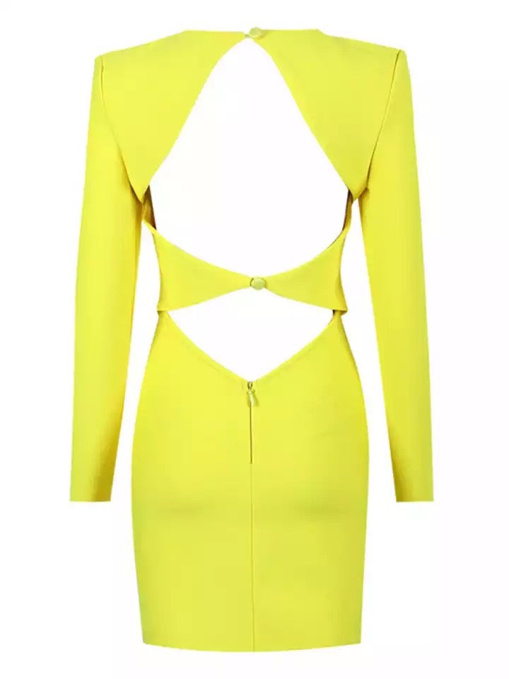 Long Sleeve Backless Dress