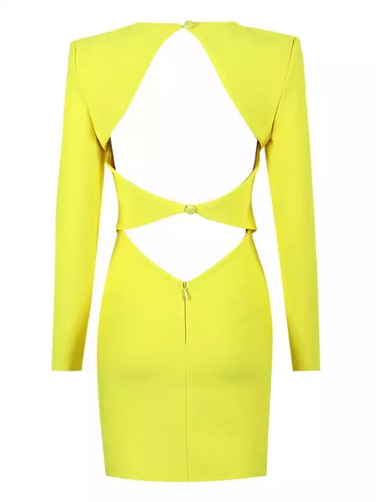Long Sleeve Backless Dress