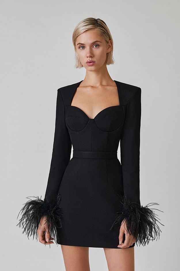 Feather Long Sleeve Bustier Dress HV9157