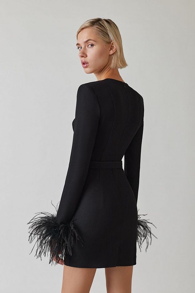 Feather Long Sleeve Bustier Dress HV9157