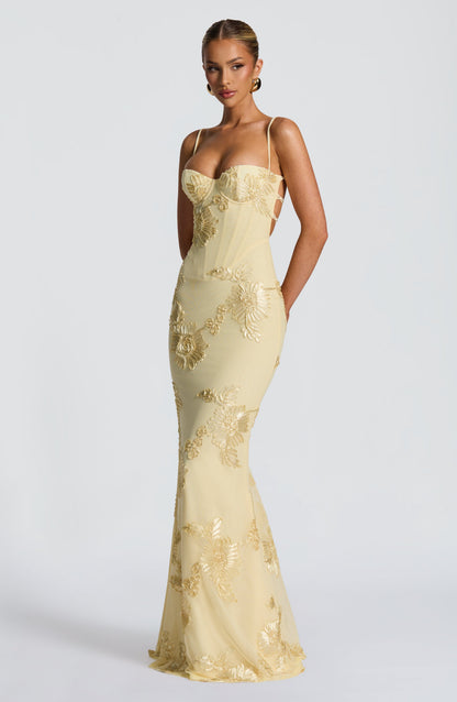 Halter Floral Strappy Backless Maxi Dress Red HV2963