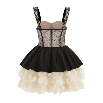 Crystal Bustier Petal A Line Dress Black Ivory HV2878