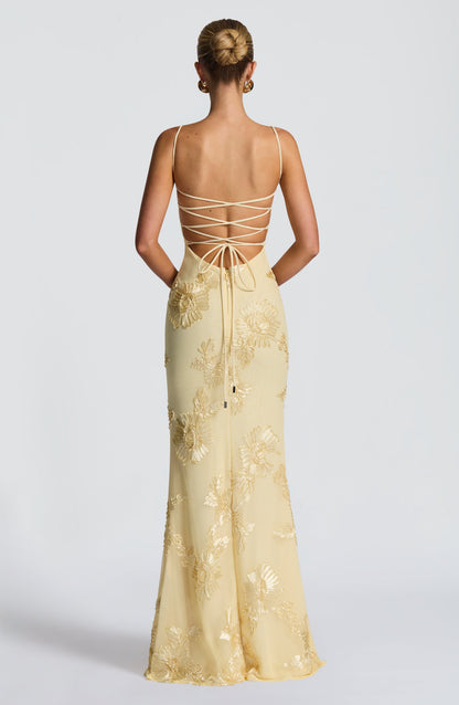 Halter Floral Strappy Backless Maxi Dress Red HV2963