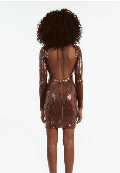 Long Sleeve Sequin Backless Dress Brown