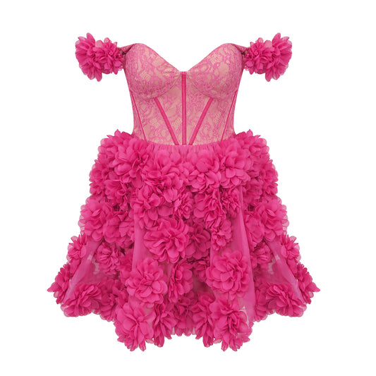 Bardot Lace Corset Floral A Line Dress Hot Pink HV1265