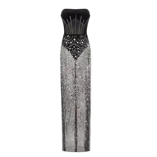 Strapless Bustier Floral Sequin Maxi Dress HV1428