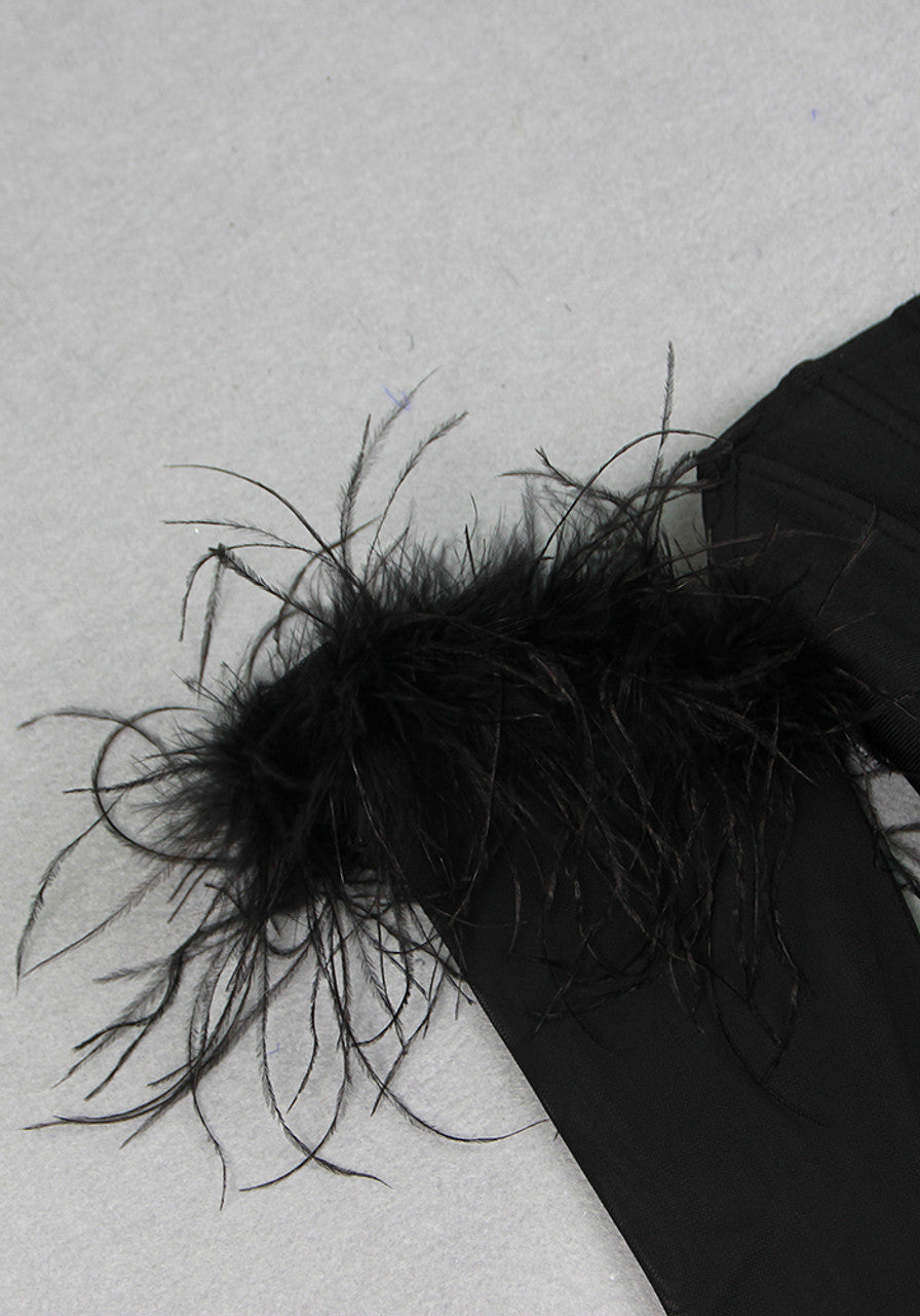 Long Sleeve Feather Corset Maxi Dress Black HV9958
