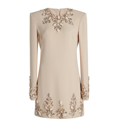 Long Sleeve Crystal A Line Dress Ivory