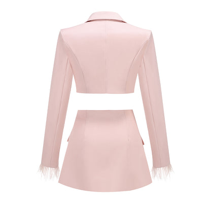 Long Sleeve Feather Two Piece Dress Pink HV1261