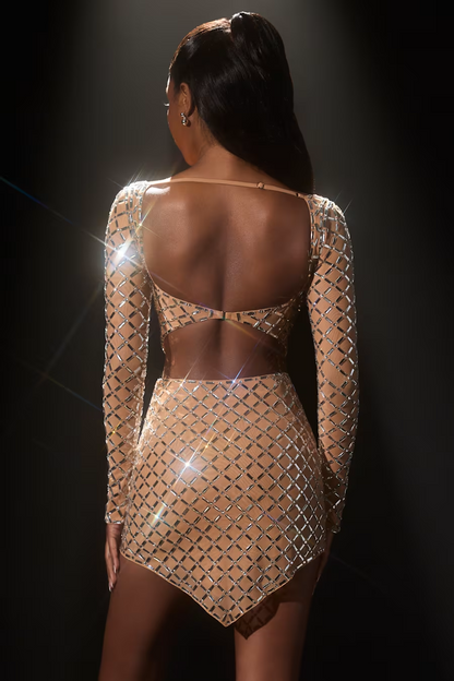 Long Sleeve Embellished Two Piece Dress Nude