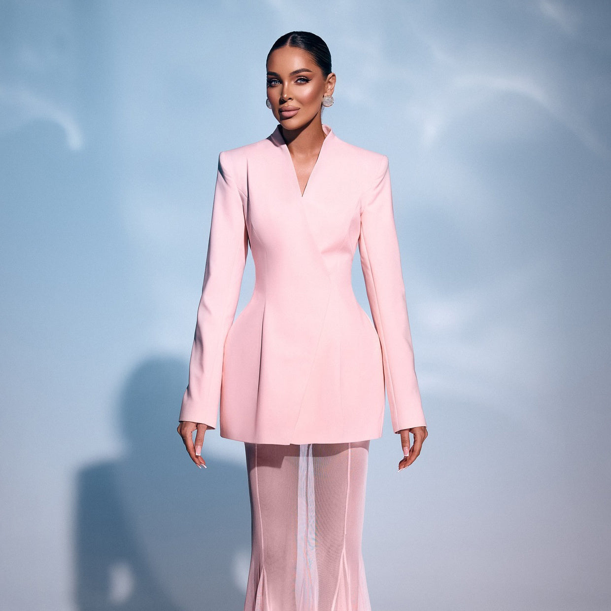 Long Sleeve Mesh Maxi Two Piece Dress Pink HV2572