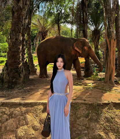 Halter Crystal Draped Backless Maxi Dress HV0122