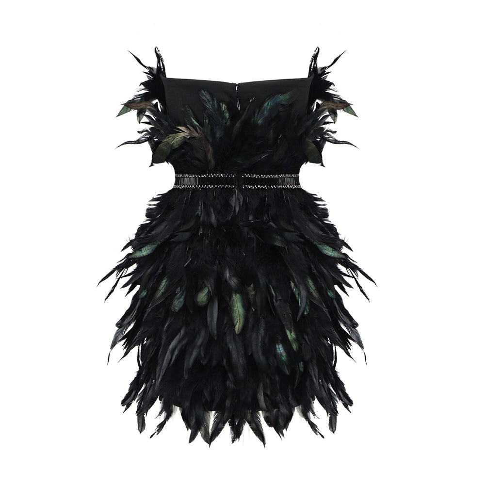 Strapless Feather Embellished Dress Black HV9594